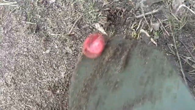 поиск клада 2 вылоска на пляж смотреть онлайн