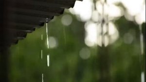 Звуки дождя и грома для сна - 99% мгновенно засыпают с Шум Дождя и грома по Крыше в туманном лесу