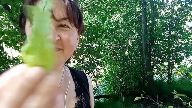 Эко зип-пакеты Атоми. Результат эксперимента.