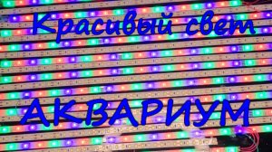 Красивый свет в аквариум.