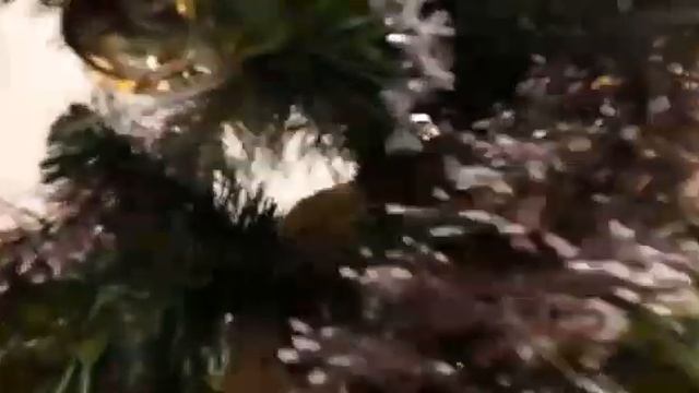 Степан Аркадьевич. Стëпка растрëпка. 26 января 2017. смотреть онлайн