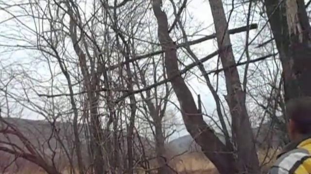 Пилим сухостой на дрова для бани смотреть онлайн