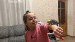 ЕДЕМ В ГОРОД . САША ЗАБРАЛА ПОПУГАЕВ СЕБЕ. 20.02.24.
