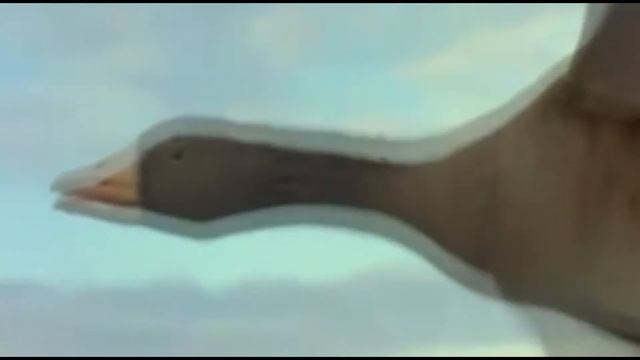 Без названия дидюля.wmv смотреть онлайн