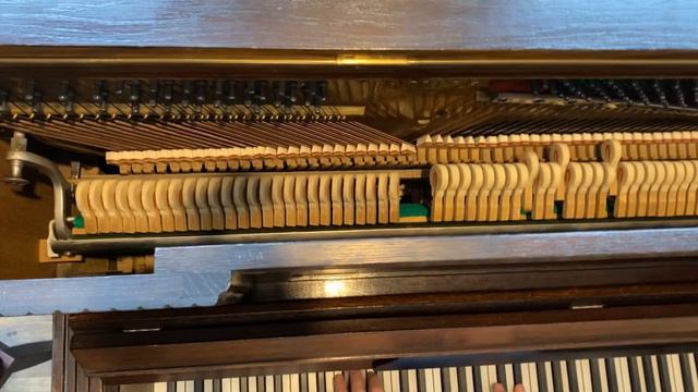 Schiedmayer 101 yo смотреть онлайн