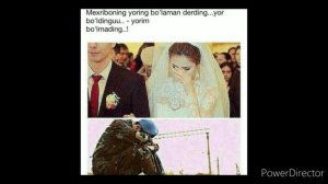 Vadasida turmagan yor to'ylar muborak