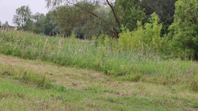 поселок Новый Городок, ул Горная, двлд 1 смотреть онлайн