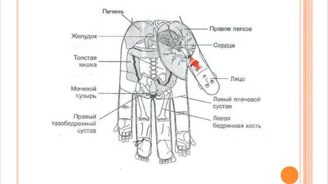 Практическое применение продукции Кедровый мир. смотреть онлайн
