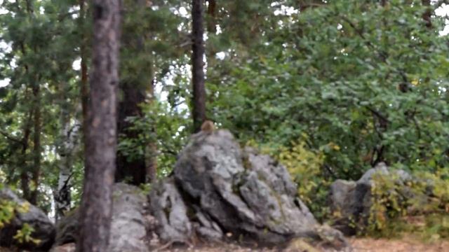Поездка в Белокуриху смотреть онлайн