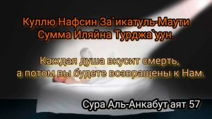 Сура Корана Аль-Анкабут «Паук' аят 56 - 58