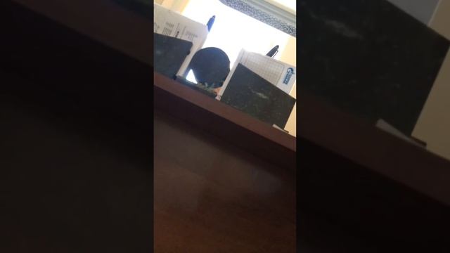 ОРЕНБУРГ УЛ. КОМУНАРОВ 46 ТУБПОЛИКЛИНИКА.. зав. поликлиникой смотреть онлайн