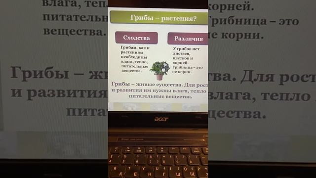 Окружающий мир 21.01 смотреть онлайн