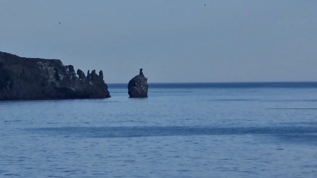 Владивосток, леопардовая набережная. #БлогВладивосток смотреть онлайн