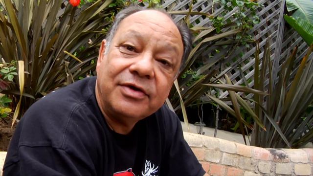 Cheech Marin on being Chicano смотреть онлайн