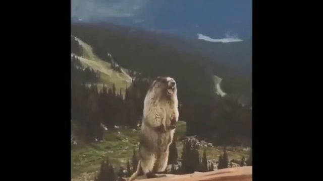 аааааа смотреть онлайн