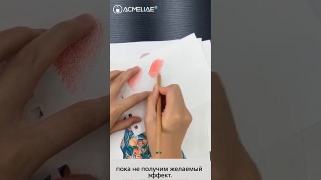 Acmeliae блендер & полировщик смотреть онлайн