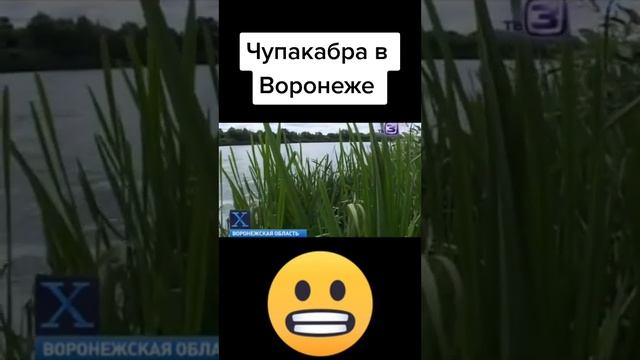 Чупакабра в воронеже смотреть онлайн