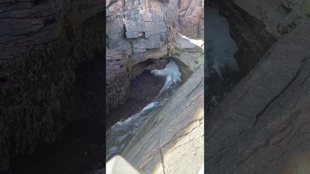 Acadia National Park смотреть онлайн