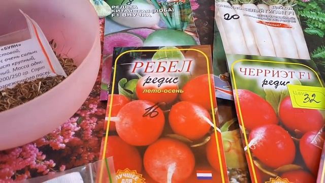Редька, дайкон, редпа .....Пора сеять. смотреть онлайн