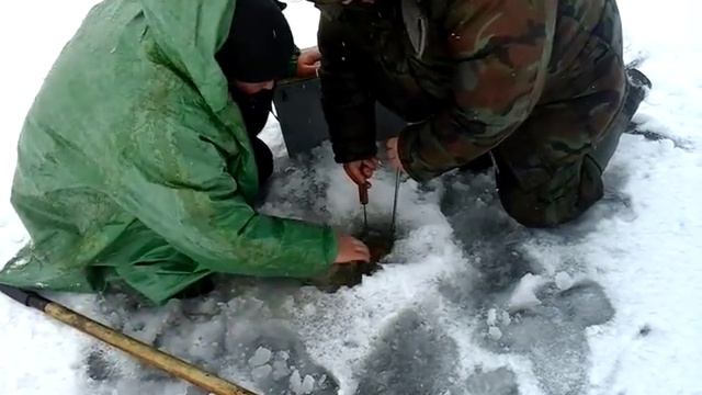 4 марта 2016 г. смотреть онлайн