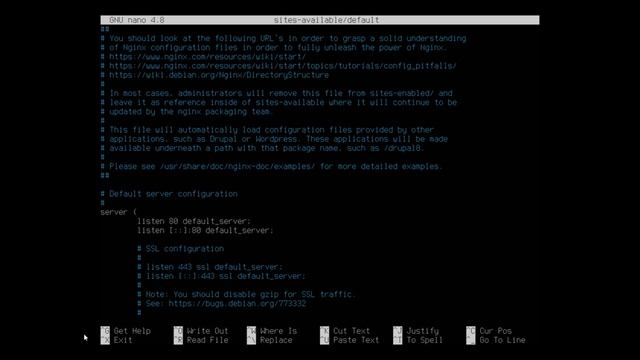 Installing the NGINX web server in Ubuntu смотреть онлайн