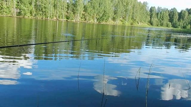 ?Снится мне рыбалка! ?Самоизоляция достала! ?Настальгия по лету и открытой воде! смотреть онлайн