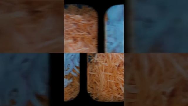 Чисто, аккуратно, безупречно