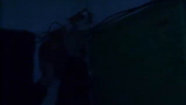 Кошка запрыгнула в щиток-2 смотреть онлайн