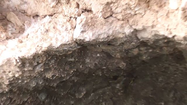 Большая выпь против краба смотреть онлайн