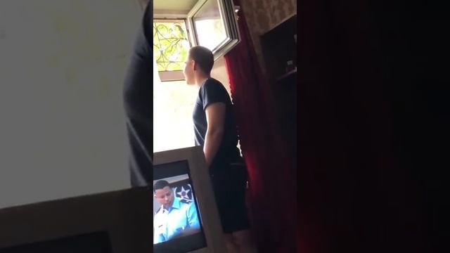 Как напугать кота смотреть онлайн