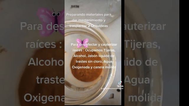 Sustrato y materiales para trasplantar Orquídeas смотреть онлайн