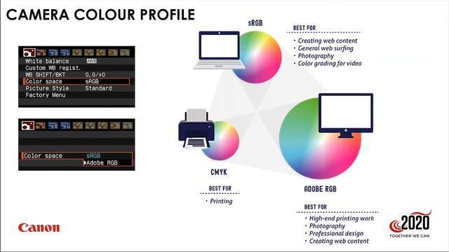 Colour management basics & Pixma Pro Printers with Roger Machin from Canon South Africa. смотреть онлайн