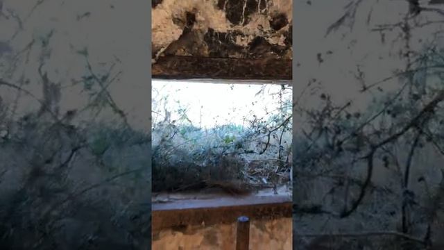 ДОТ№1 прикрытия 35 Батареи Обороны Севастополя смотреть онлайн