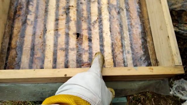 Пчеловодство с нуля - Апрель 2020, Холодная весна, Подкормка, Расширение смотреть онлайн