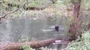 рыбалка в Приднестровье