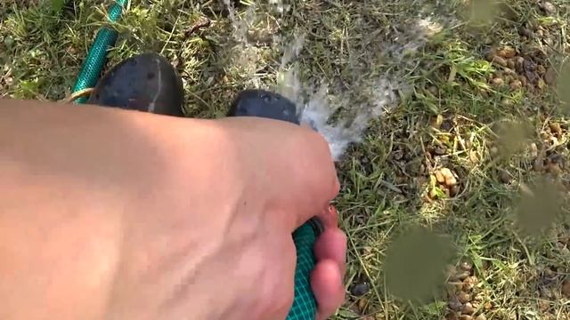 НОЧЬЮ СЛИВЫ ВКУСНЕЕ! Шлифуем стену, Саша шьет, Папа косит, Компот в банках, Поход в магазин. смотреть онлайн