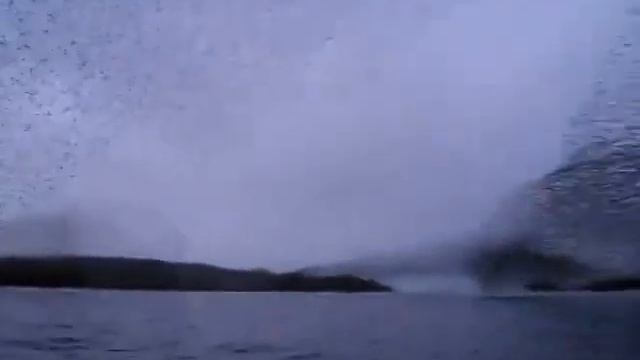 Необычное зрелище красивый полет стаи скворцов смотреть онлайн