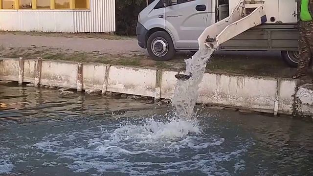 рыбалка рыбалка в подмосковье карп ловля карпа суперкарп белеутово Karp Fishing(4)