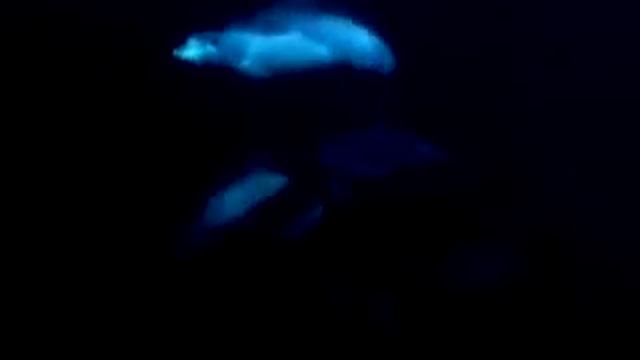 04 DJ Илья Господь, услышь мое моление смотреть онлайн