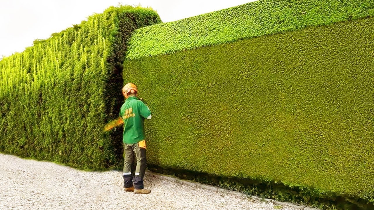 Приятно смотреть как работают эти работники – настоящие профи в своём деле смотреть онлайн