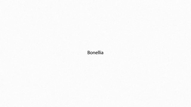 Bonellia PRONUNCIATION смотреть онлайн