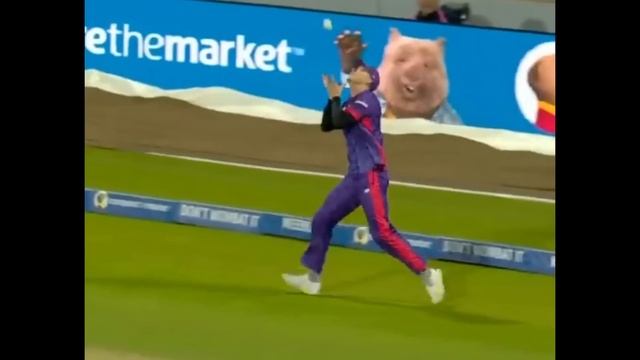 UNBELIEVABLE! Harry Brook BEST Catch! | Harry Brook The Hundred Century Batting News Facts смотреть онлайн