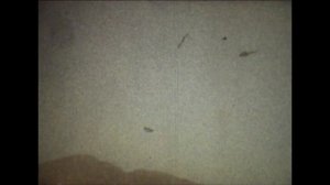 В ГОРАХ И В ПУСТЫНЕ  Гр.«Контраст» Пули -Хумри, 1987г.