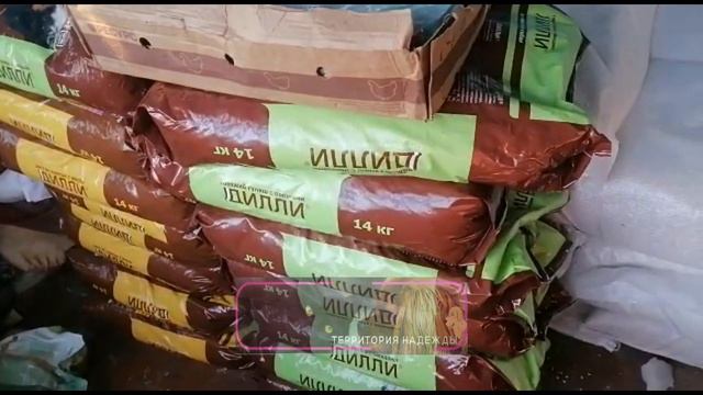 Огромное спасибо Владимиру и Людмиле. Привезли 25 мешков по 14 кг "ДИЛЛИ" смотреть онлайн