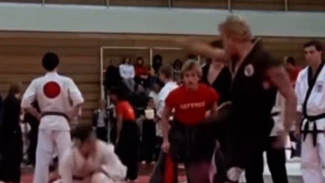 Karate Kid 1984