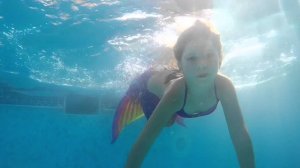 Плавание в хвосте русалки Флеш