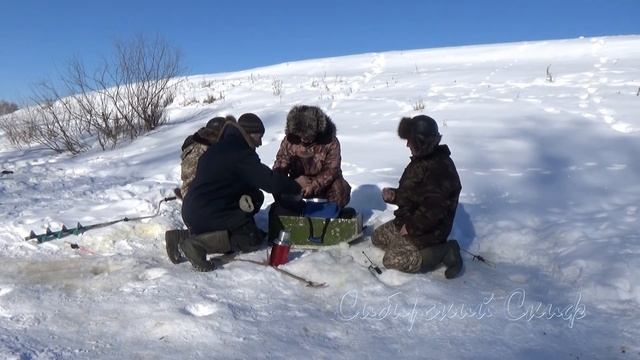 Сибирский Скиф смотреть онлайн