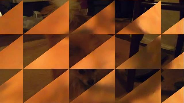 пропала собака в крыловской смотреть онлайн