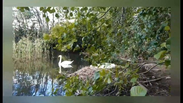Звуки бубна шамана дубль 2 Шаман просил распространить Ага! смотреть онлайн