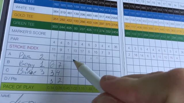 Q&A: SamsonovGolf форматы игры в гольф смотреть онлайн